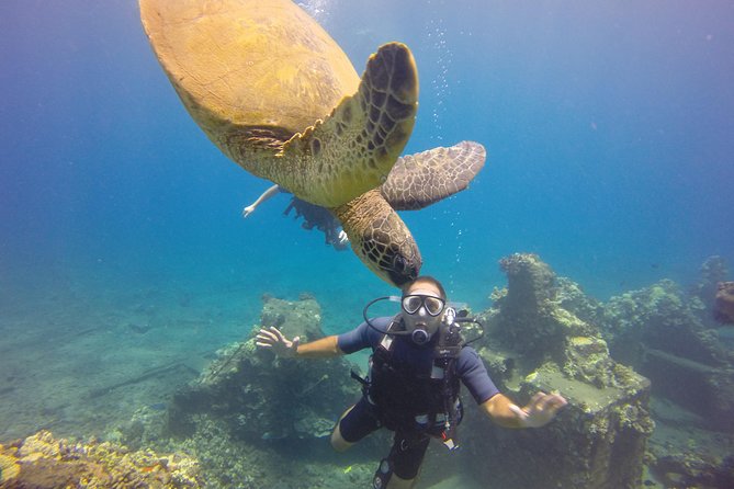 VIP Aloha Nui Snorkel Adventure w/ optional SCUBA from Lahaina - Optional SCUBA on This Trip, and What to Consider