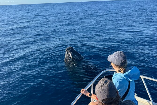 VIP Premiere Whale Watch Kaanapali Beach MAX 12 PASSENGERS - From Ka’anapali Beach to the Au’au Channel, fast and focused