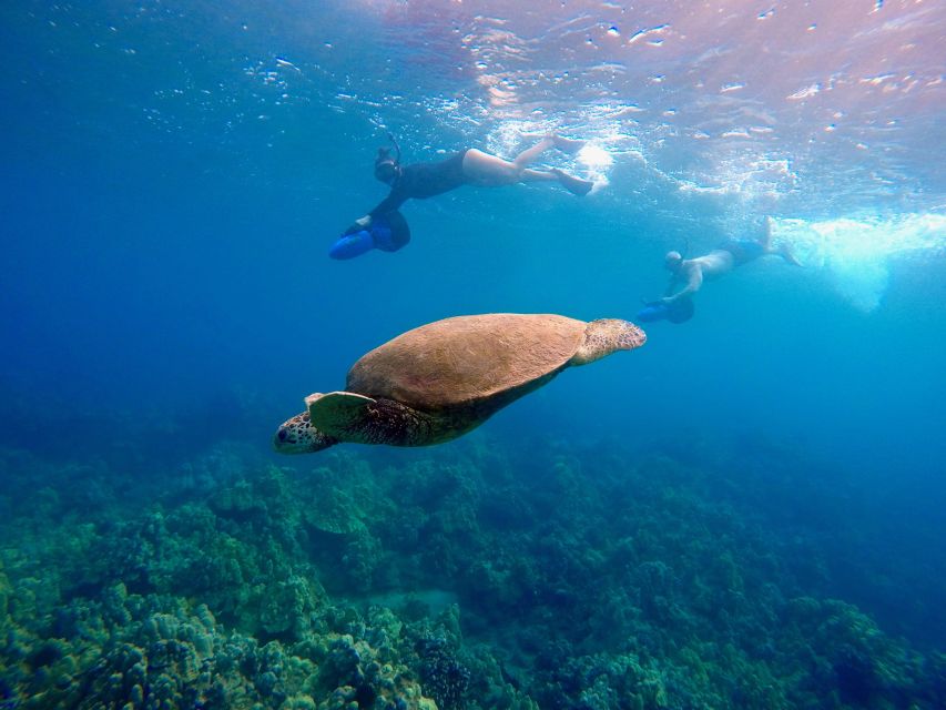 Wailea Beach: Guided Sea Scooter Snorkeling Tour - 70 Minutes on the Reef: Turtle Town, Wailea’s Bay, and Other Wildlife Homes