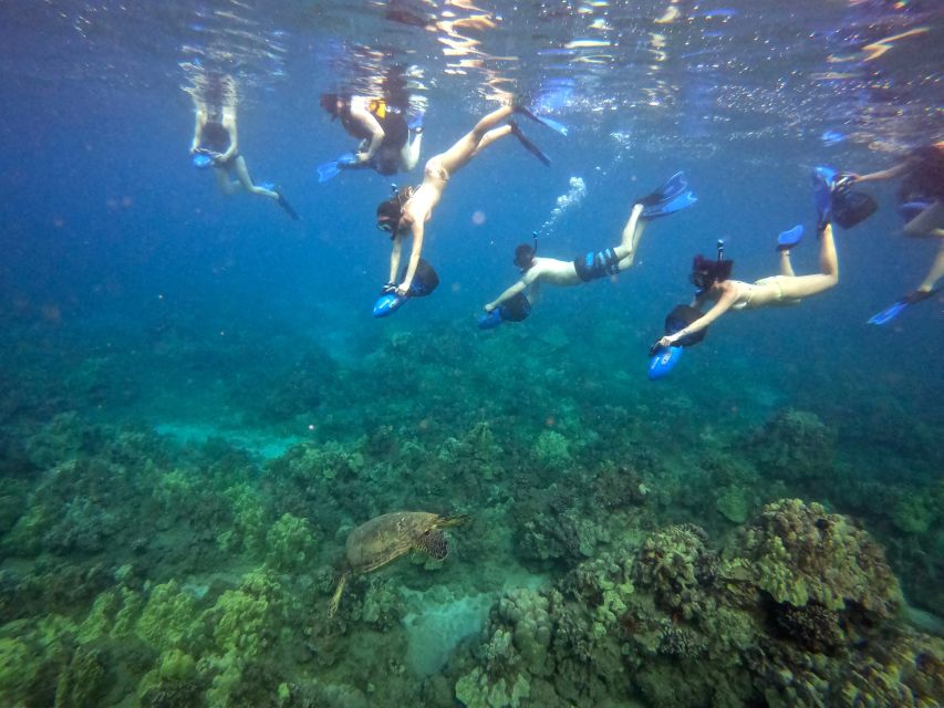 Wailea Beach: Guided Sea Scooter Snorkeling Tour - Gear and Comfort: What’s Included, What You Provide, and How to Prepare