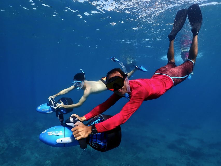 Wailea Beach: Guided Sea Scooter Snorkeling Tour - Price and Value: Is $149 Worth 90 Minutes of Turtle Country?