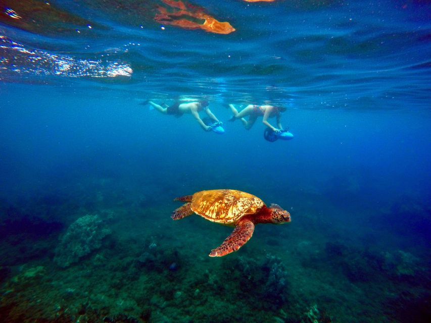 Wailea Beach: Guided Sea Scooter Snorkeling Tour - Who This Tour Fits Best, and Who Should Skip It