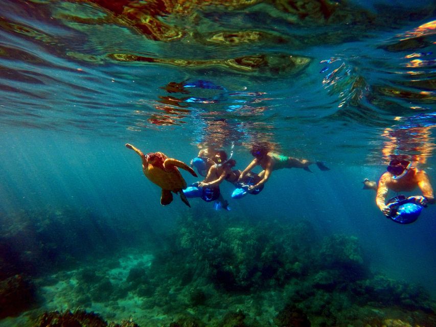 Wailea Beach: Guided Sea Scooter Snorkeling Tour - Should You Book Wailea Beach Sea Scooter Snorkeling?