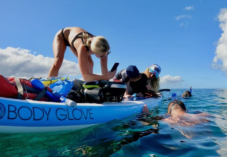 Wailea Beach: Snorkeling for Non-Swimmers Guided Tour - Key highlights to know before you go