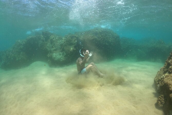 Water Bike Tour in South Maui - Key Things I’d Pay Attention To