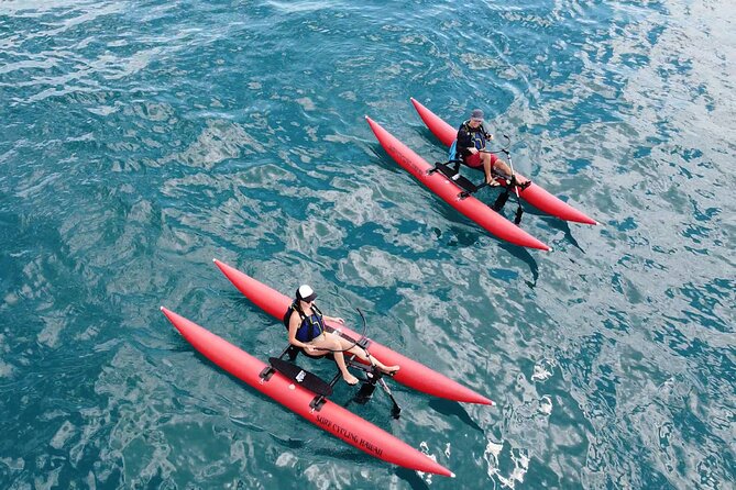 Water Bike Tour in South Maui - How the Water Bikes Feel (Easy to Ride, Still Fun)