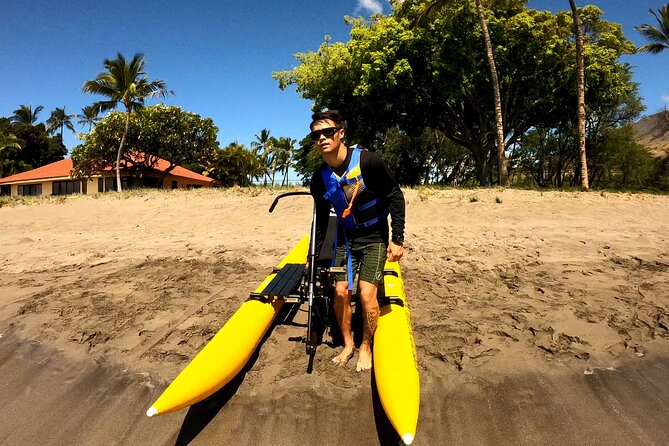 Water Bike Tour in South Maui - Wildlife Potential: Whales, Dolphins, Turtles, and Reef Life