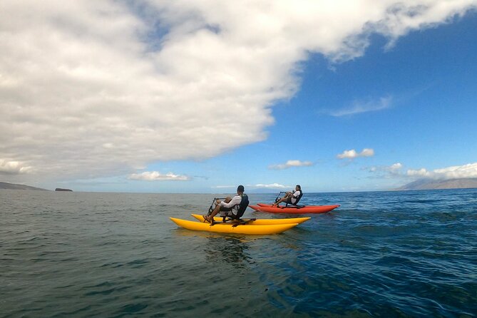 Water Bike Tour in South Maui - What to Bring for a Comfortable Ocean Pedal Morning