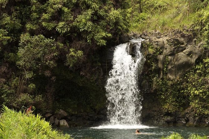 Waterfall and Rainforest Adventure - Key Highlights You’ll Actually Feel