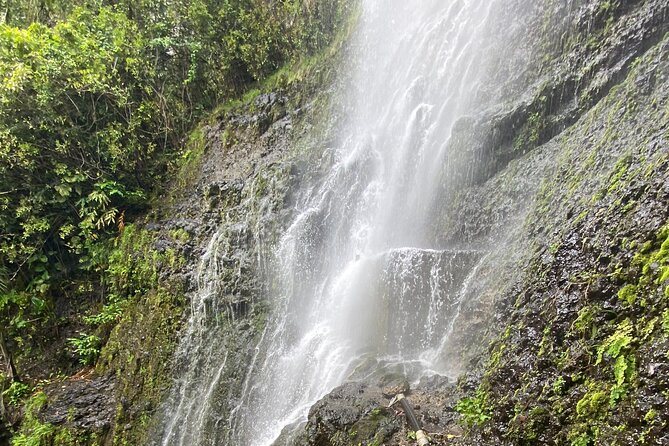 Waterfall and Rainforest Adventure - Stop 3: Waikamoi Ridge Trail for Ocean Views and Maui Flora
