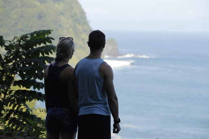 Waterfall and Rainforest Adventure - Stop 5: Wailua Valley State Wayside Park for Coastal Vantage Views