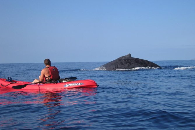 Waterfall Hike and Kayak Snorkel & Paddle from Makena - Old Hawaii hike and Twin Falls, what you’ll walk through