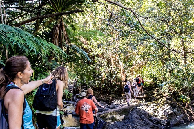 Waterfall & Rainforest Hiking Adventure with Hotel Pickup - What the Included Lunch and Snacks Actually Add Value