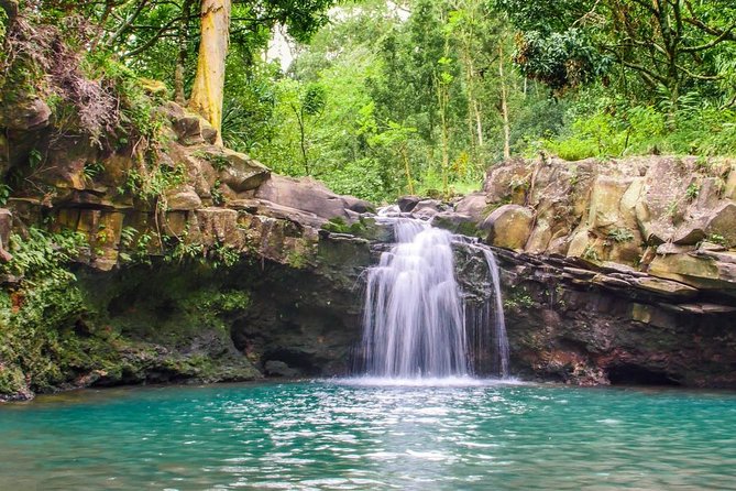 Waterfall & Rainforest Hiking Adventure with Hotel Pickup - Guides Who Bring Maui to Life, From Pasco to Sara