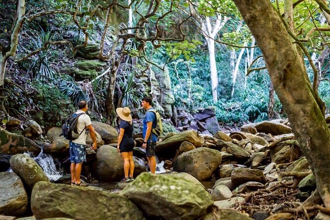 West Maui Adventure Tour with Private Guide - West Maui, Private and Personalized Stops
