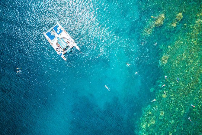 West Maui Afternoon Snorkel from Ka’anapali Beach - Key highlights at a glance