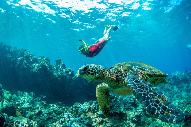 West Maui Afternoon Snorkel from Ka’anapali Beach - Gear, safety, and simple things you should pack