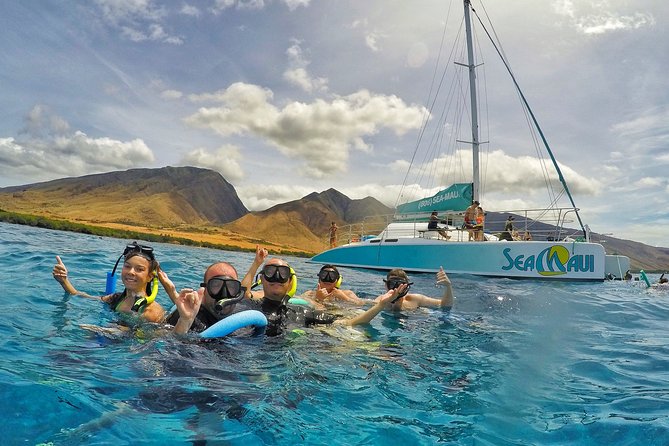 West Maui Afternoon Snorkel from Ka’anapali Beach - Snorkeling in West Maui: turtles, coral, and what the crew aims for