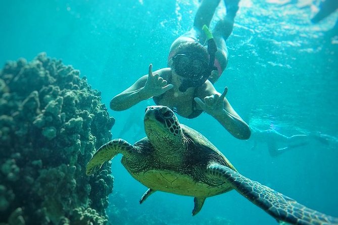 West Maui Half Day Snorkel from Ka’anapali Beach - Sea Maui comfort: shade, bathrooms, and time management