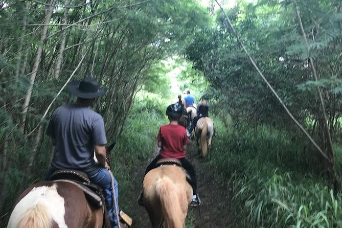 West Maui Mountain Waterfall and Ocean Tour via Horseback - Down Toward the Pacific: Coastal Views, Not Beach Riding