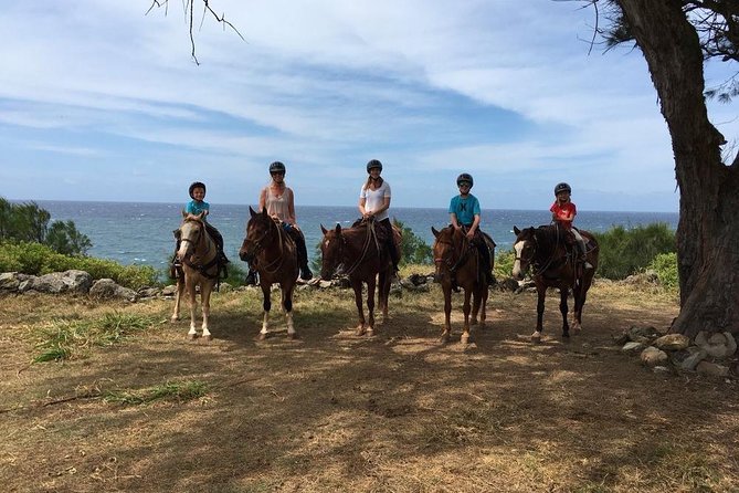 West Maui Mountain Waterfall and Ocean Tour via Horseback - The Petting Zoo Stop: More Than a Quick Photo Moment