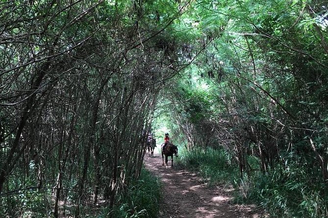 West Maui Mountain Waterfall and Ocean Tour via Horseback - Price and Value: Is $187.50 Worth It?
