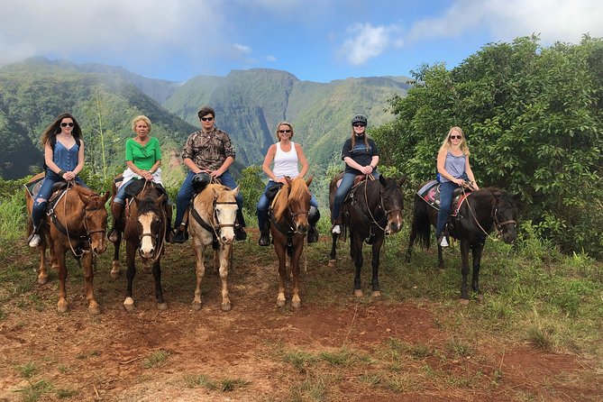 West Maui Mountain Waterfall and Ocean Tour via Horseback - Comfort, Safety, and the Stuff Guides Care About