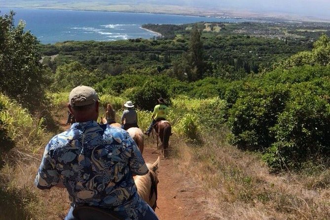 West Maui Mountain Waterfall and Ocean Tour via Horseback - Up the Mountainside, Where You Might Spot Waterfalls