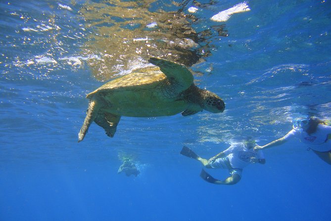 West Maui Snorkeling Experience by Boat from Ka'anapali - Getting on board from Kaanapali (and why it matters)
