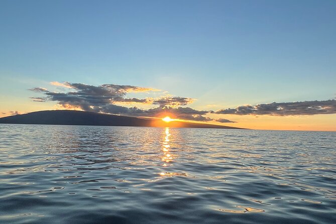West Maui Sunset Whale Watch - Your Guides at Work: How Captains Help You See More
