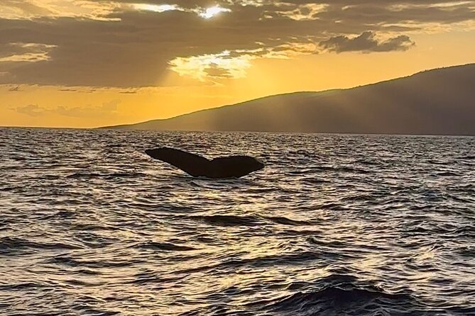 West Maui Sunset Whale Watch - Sunset Time: Islands on the Horizon and a Changing Sky