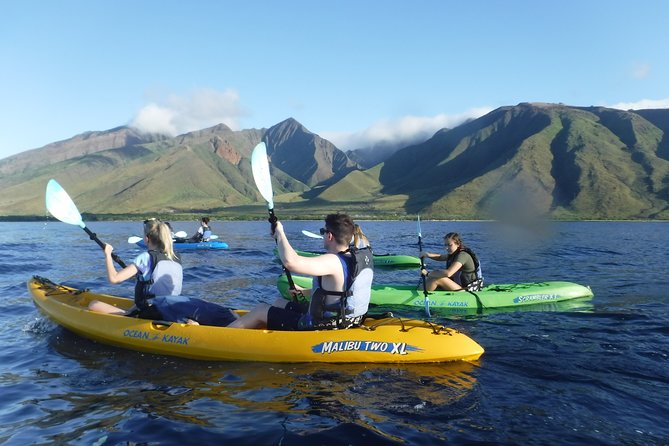 West Side Discovery Kayak & Snorkel Tour - Meeting at 7:15 am: the start that sets the tone