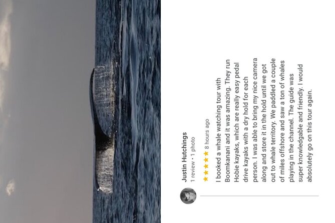 Whale Watch and Scenic Tour from Kayak - Included comforts and what to bring from home