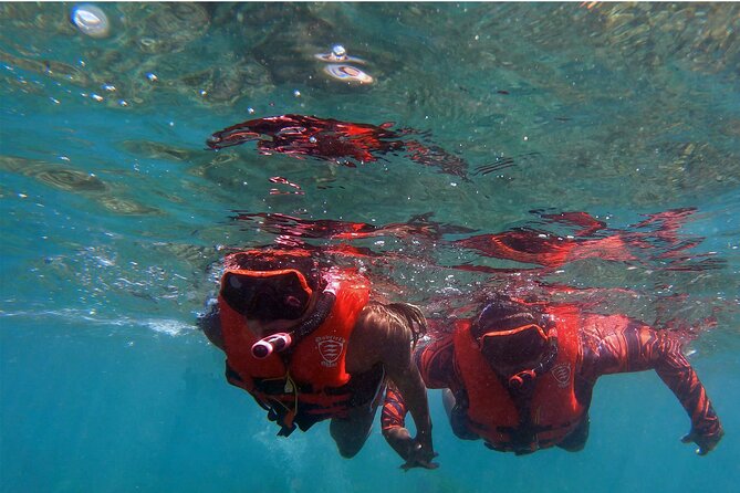 Whale Watch by Kayak-No Time Limit - Snorkeling Gear You Actually Want, Plus Room to Breathe