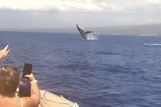 Whale Watching Tour on a Charming Hawaiian Catamaran From Maalaea - Underwater hydrophones: the moment most people remember