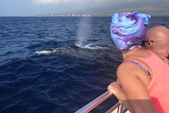 WHALES GUARANTEED Maui Whale Watching Makai Adventures - Key Things That Matter On This Maui Whale Watch