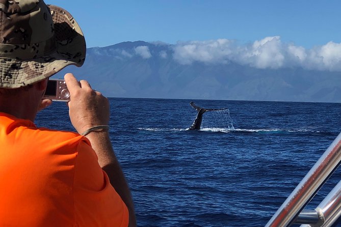 WHALES GUARANTEED Maui Whale Watching Makai Adventures - The Crew, the Captains, and the Q and A That Makes It Click