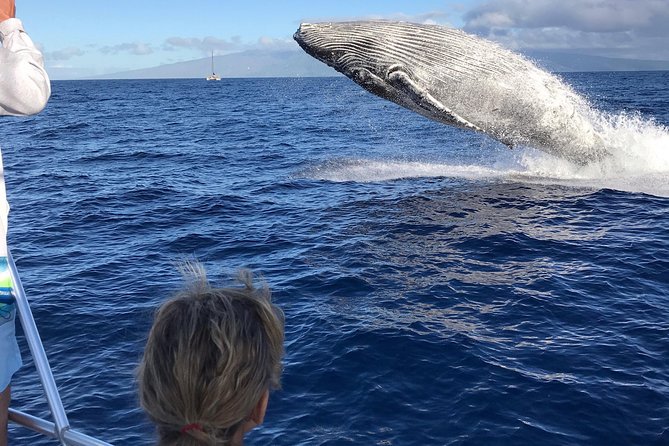 WHALES GUARANTEED Maui Whale Watching Makai Adventures - How the 2 Hours 15 Minutes Actually Flows On the Water